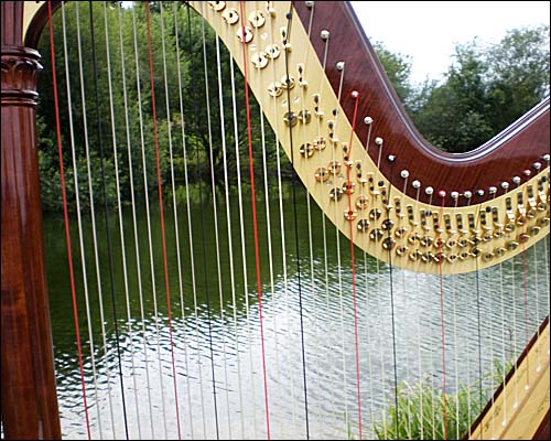 Sally Whitaker Experienced Harpist
