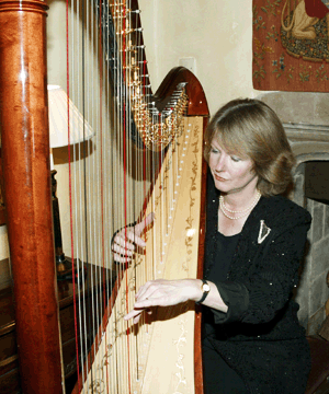 Sally Whitaker Experienced Harpist