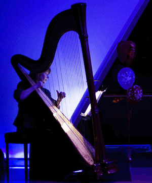 Sally Whitaker Experienced Harpist